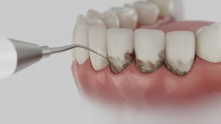 Reliable Dental contractor in Decatur, IL by Dentist Open Now